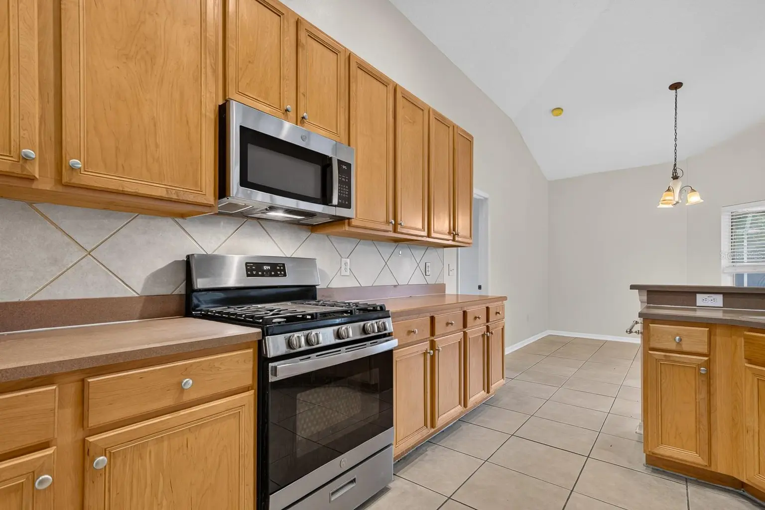 10527 SAN TRAVASO DRIVE, TAMPA, FL, photo 21 of 62