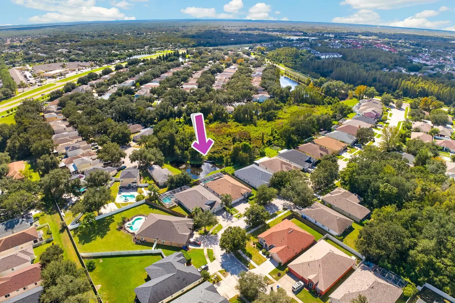 10527 SAN TRAVASO DRIVE, TAMPA, FL, photo 60 of 62