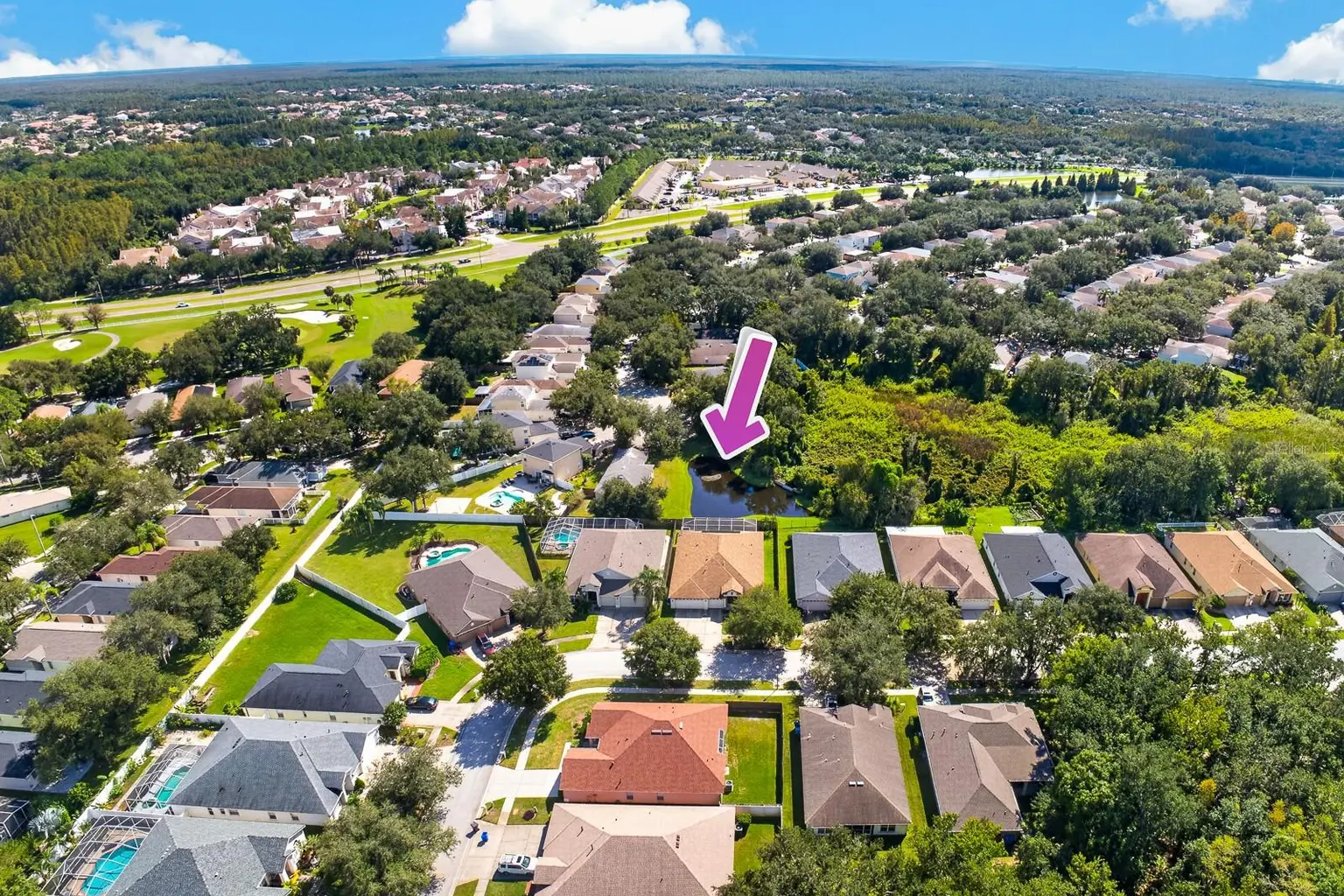 10527 SAN TRAVASO DRIVE, TAMPA, FL, photo 61 of 62