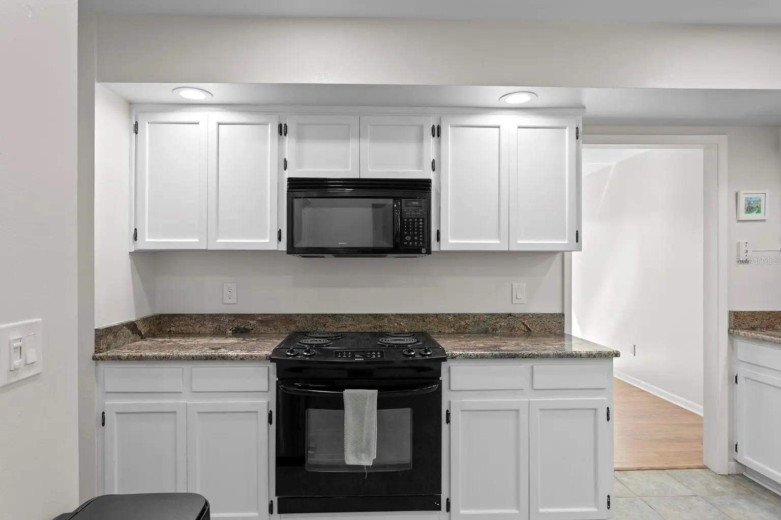 17127 RAINBOW TERRACE, ODESSA, FL, photo 26 of 96
