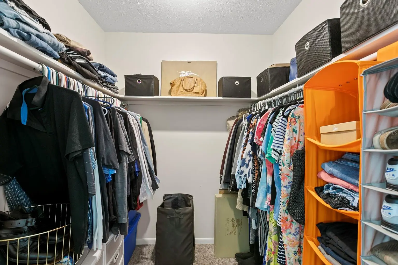 17127 RAINBOW TERRACE, ODESSA, FL, photo 34 of 96