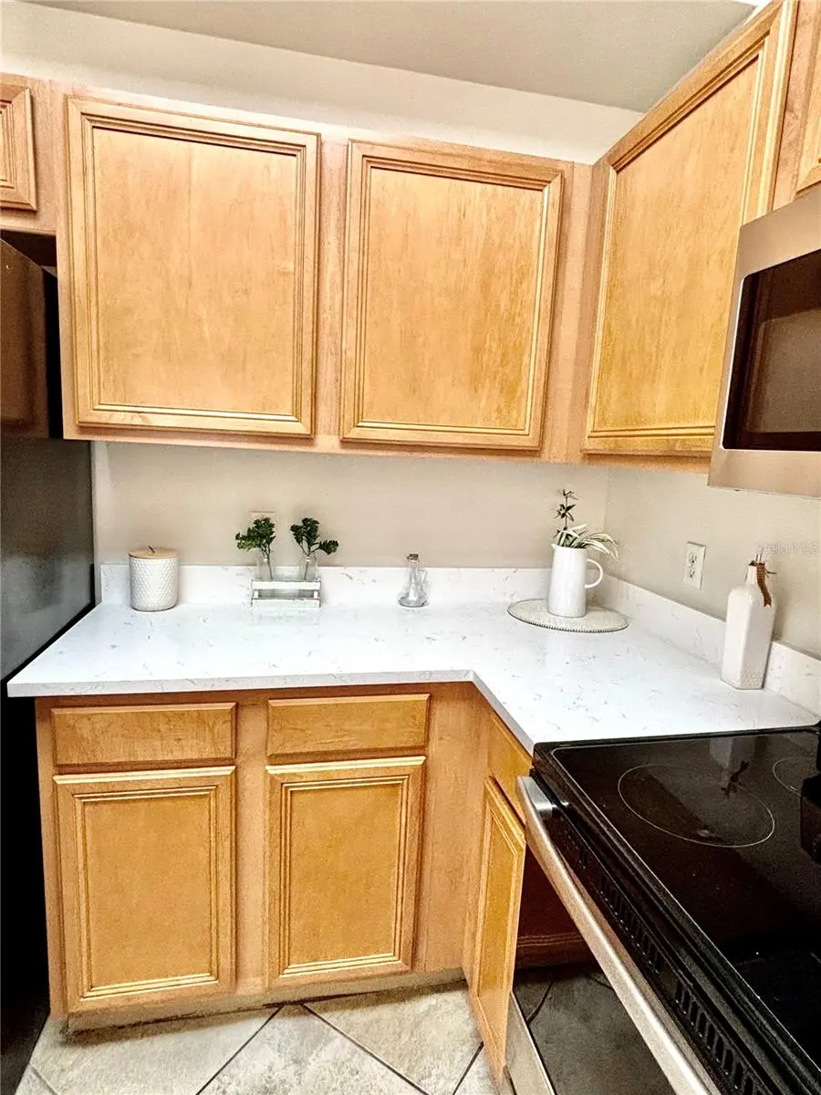 20304 OAK KEY COURT, TAMPA, FL, photo 6 of 56