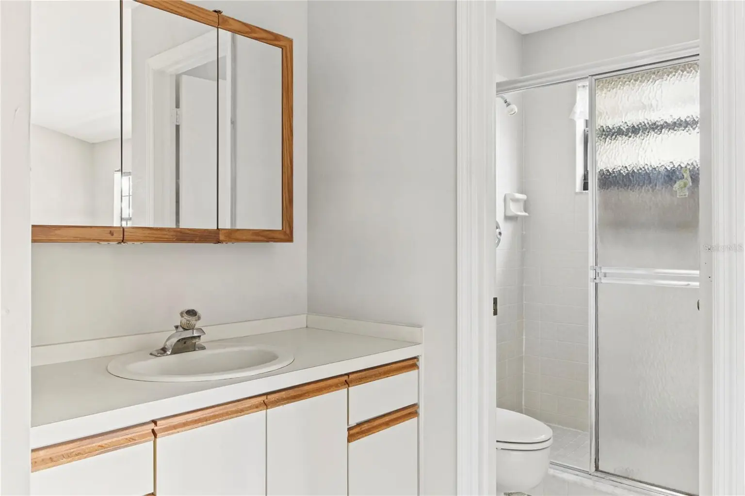 1210 HOUNDS RUN, SAFETY HARBOR, FL, photo 19 of 38