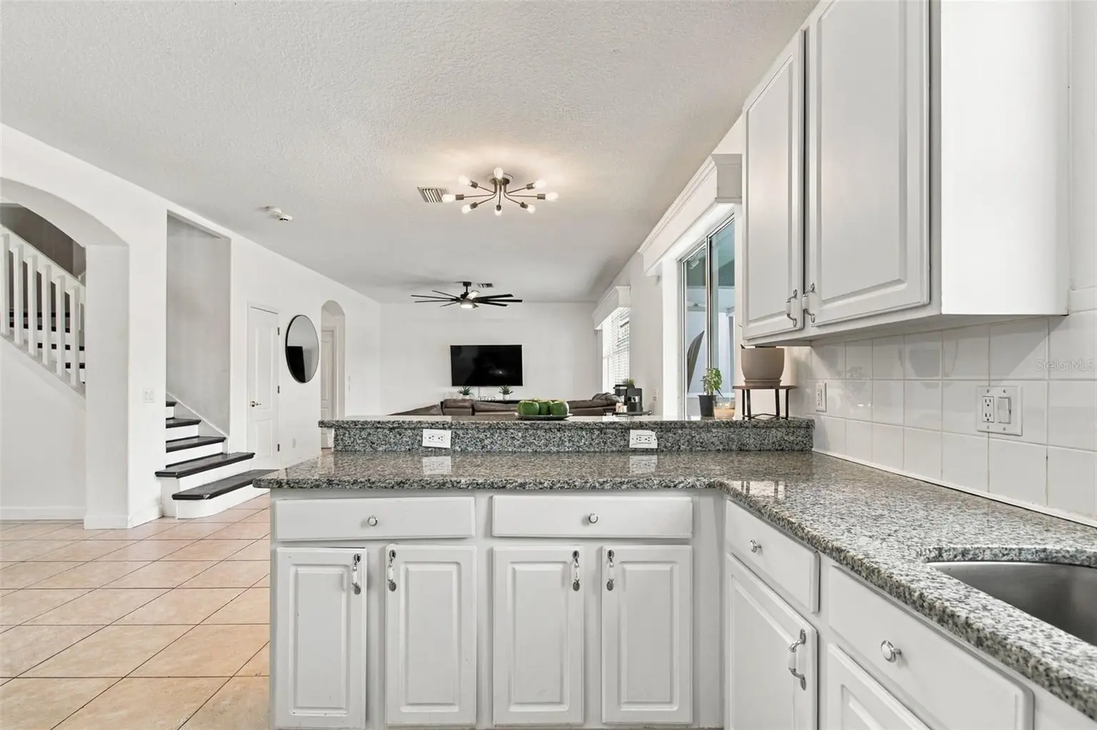 19025 FISHERMANS BEND DRIVE, LUTZ, FL, photo 17 of 82