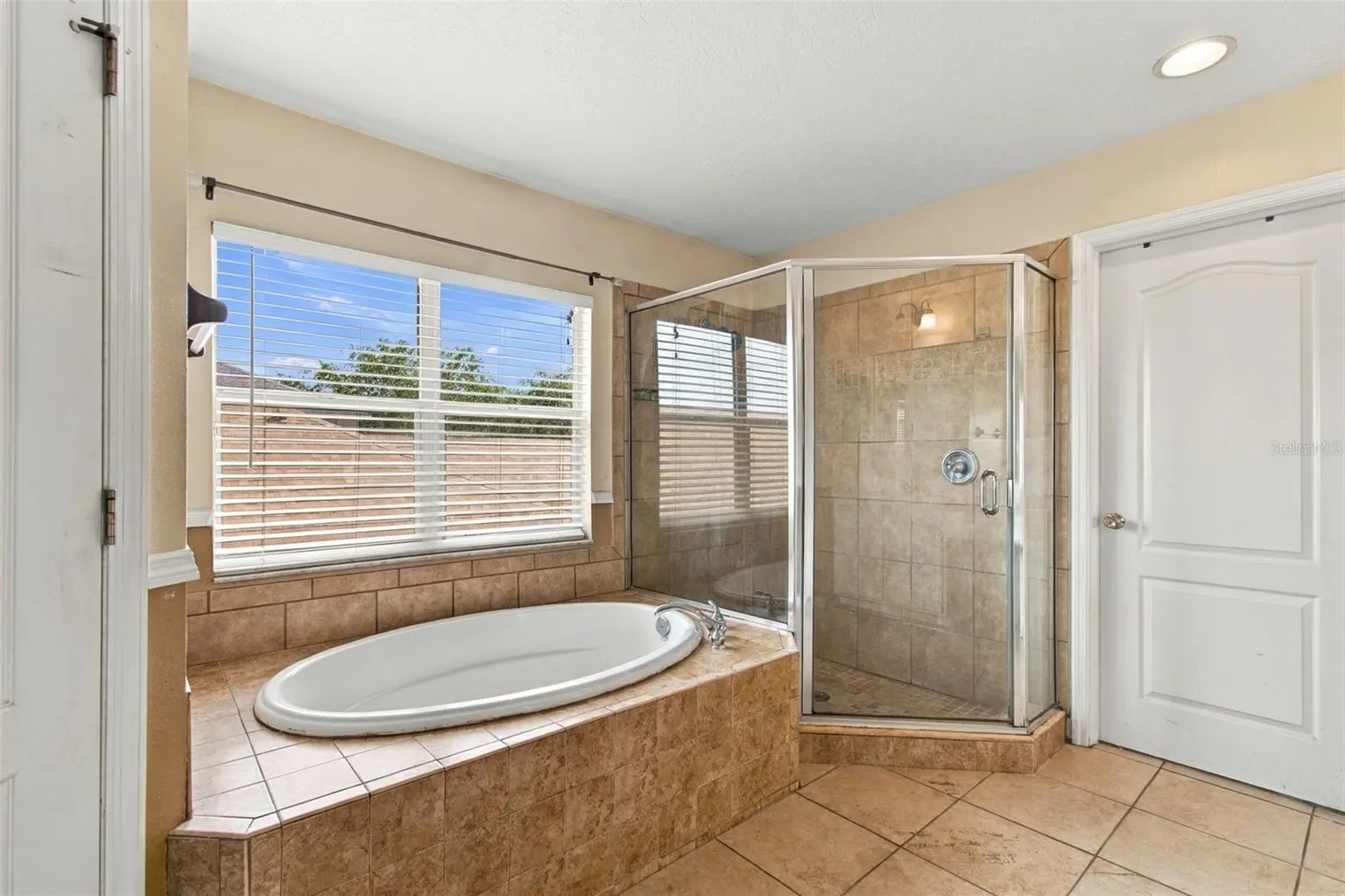 19025 FISHERMANS BEND DRIVE, LUTZ, FL, photo 51 of 82