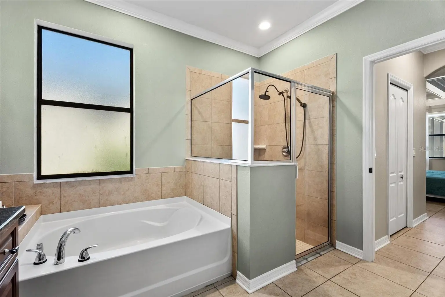 308 STAR SHELL DRIVE, APOLLO BEACH, FL, photo 25 of 67