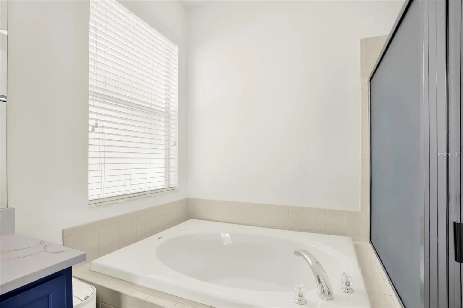 29849 BOYETTE OAKS PLACE, WESLEY CHAPEL, FL, photo 32 of 51