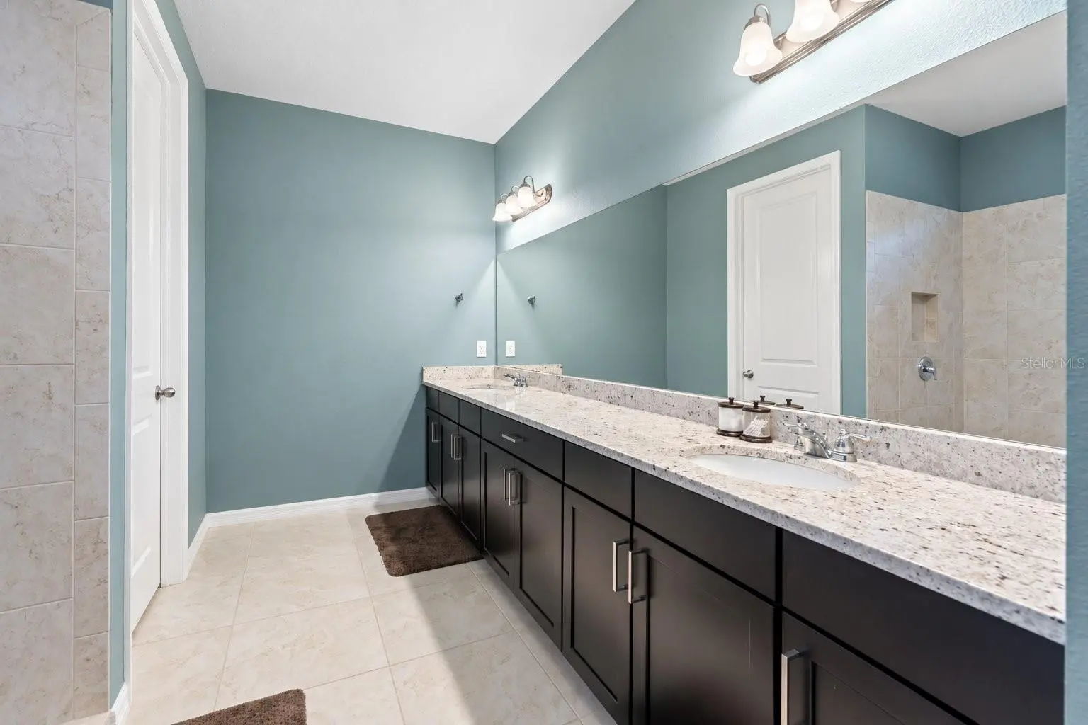 18922 ROSEATE DRIVE, LUTZ, FL, photo 24 of 44