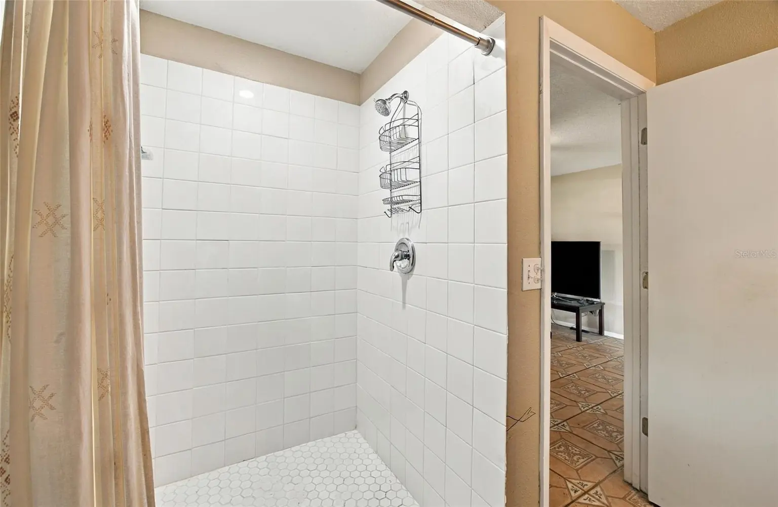 18509 BITTERN AVENUE, LUTZ, FL, photo 46 of 64