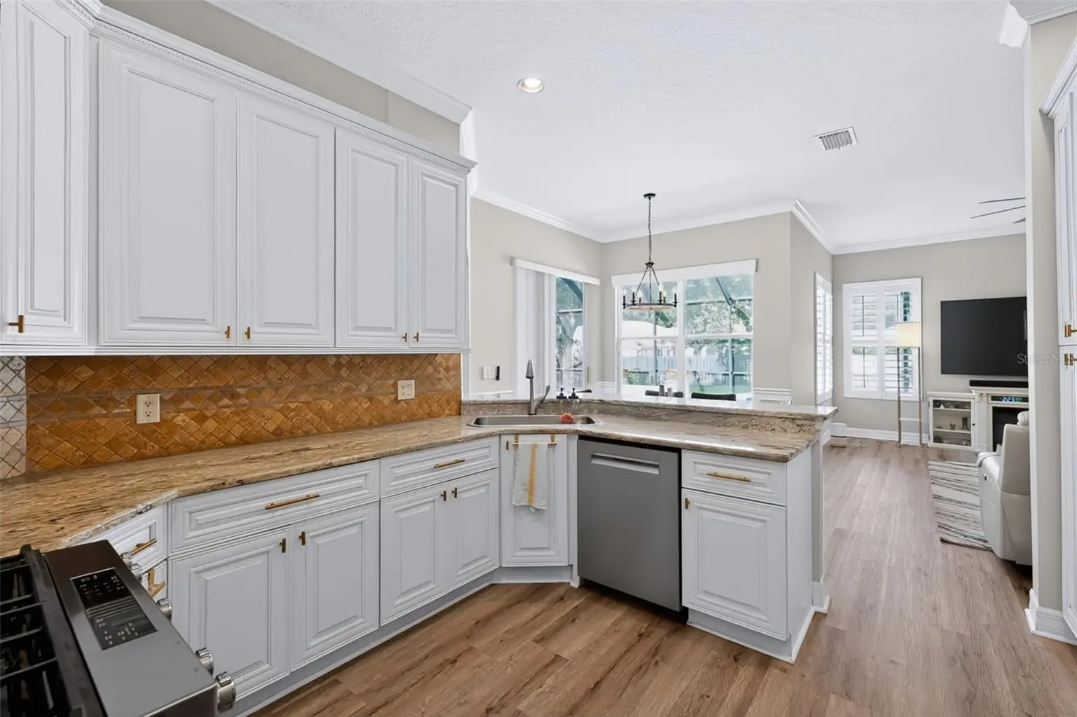 12541 LEATHERLEAF DRIVE, TAMPA, FL, photo 12 of 38