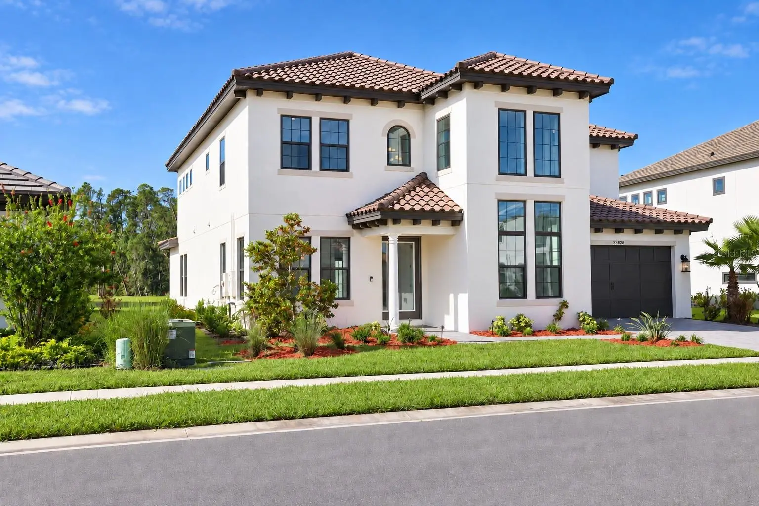 33826 OCEAN SPRAY LANE, WESLEY CHAPEL, FL, photo 2 of 65
