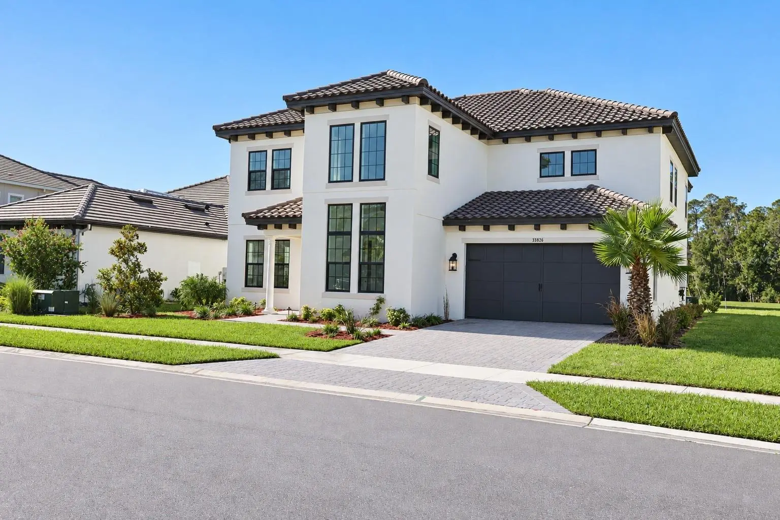 33826 OCEAN SPRAY LANE, WESLEY CHAPEL, FL, photo 3 of 65