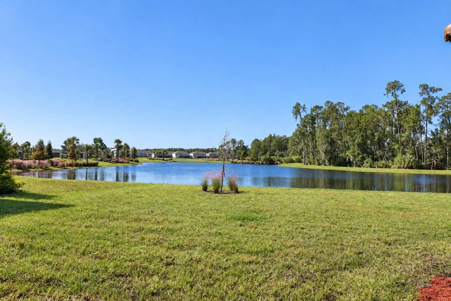 33826 OCEAN SPRAY LANE, WESLEY CHAPEL, FL, photo 56 of 65