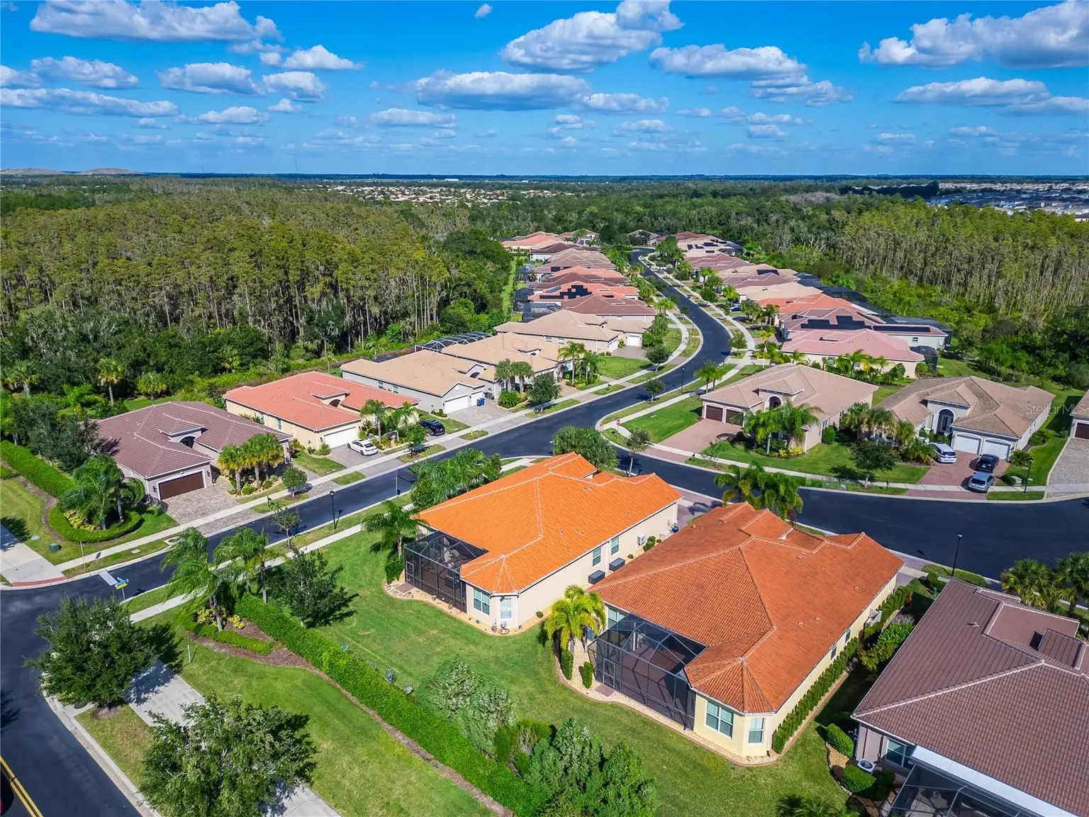 16301 GARNET GLEN PLACE, WIMAUMA, FL, photo 81 of 87