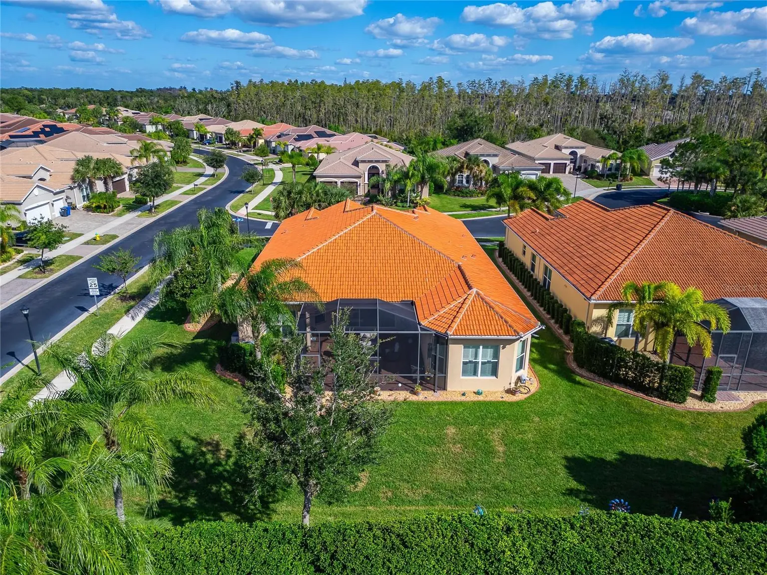 16301 GARNET GLEN PLACE, WIMAUMA, FL, photo 85 of 87