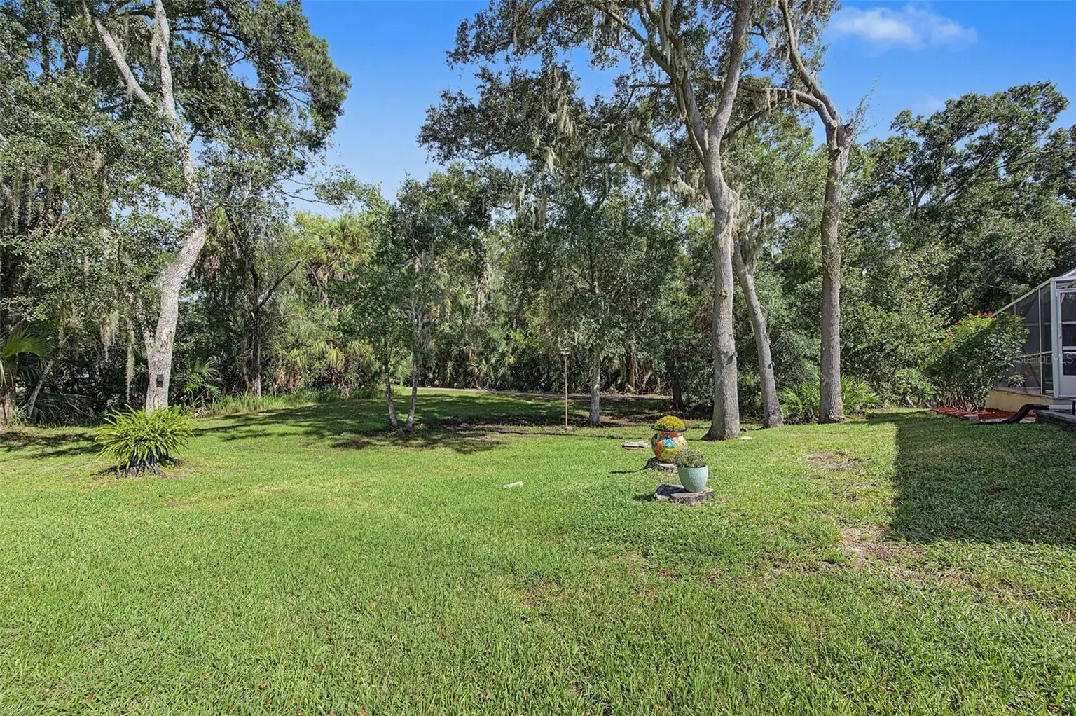 1829 FOXBORO COURT, OLDSMAR, FL, photo 32 of 58
