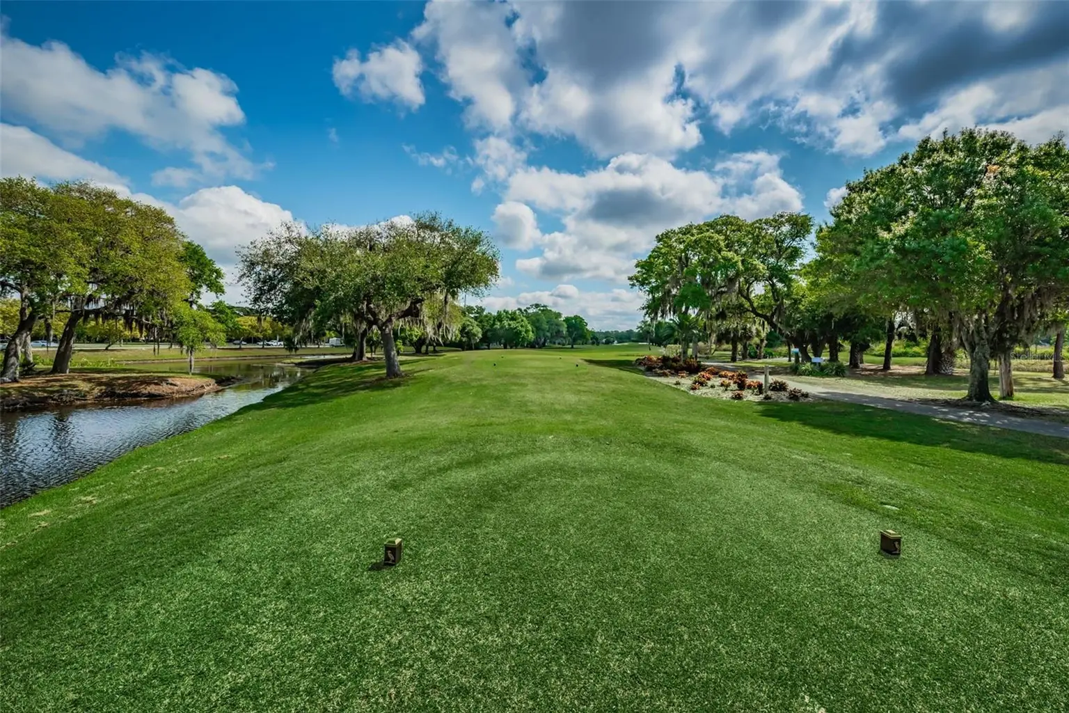 1829 FOXBORO COURT, OLDSMAR, FL, photo 41 of 58
