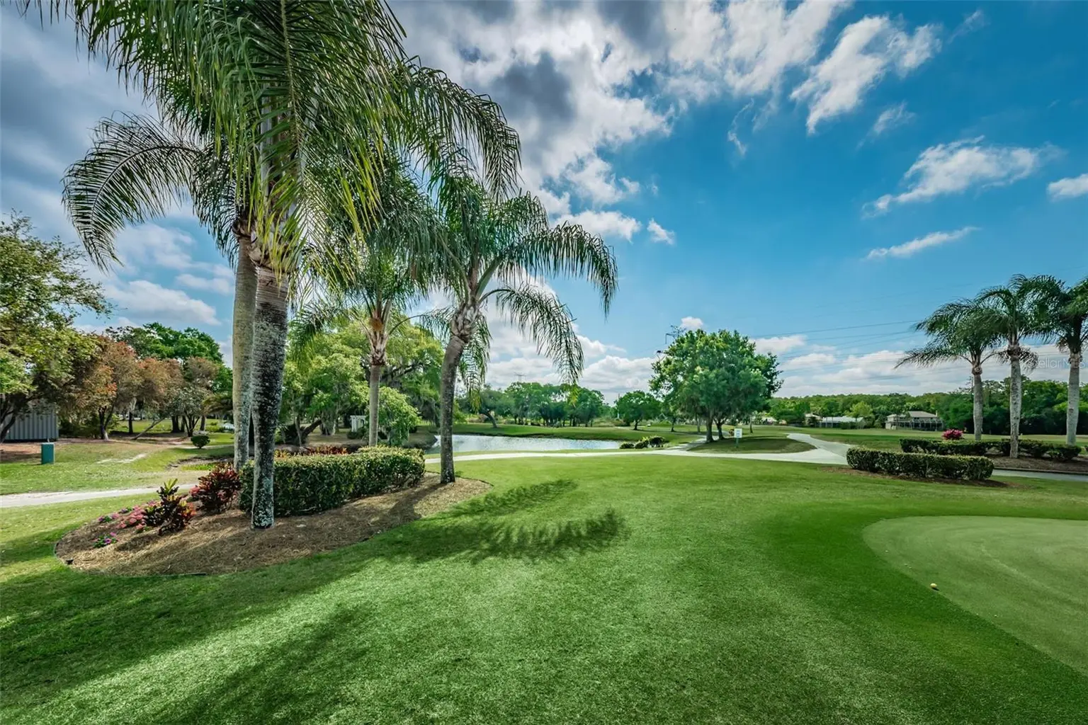 1829 FOXBORO COURT, OLDSMAR, FL, photo 50 of 58