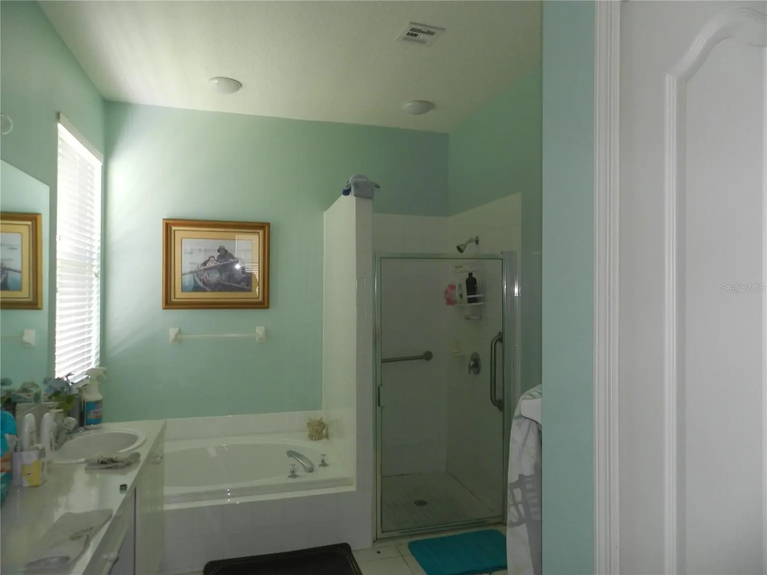 1040 FOX HOLLOW RUN, DUNEDIN, FL, photo 21 of 34