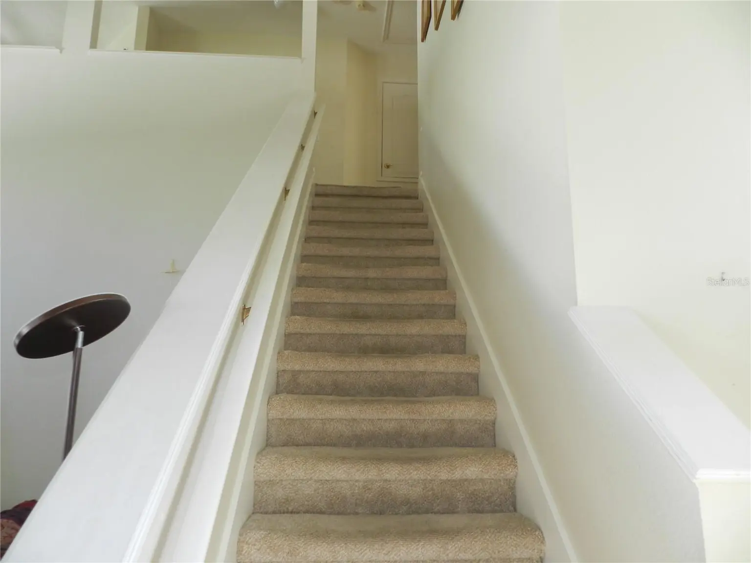 1040 FOX HOLLOW RUN, DUNEDIN, FL, photo 25 of 34