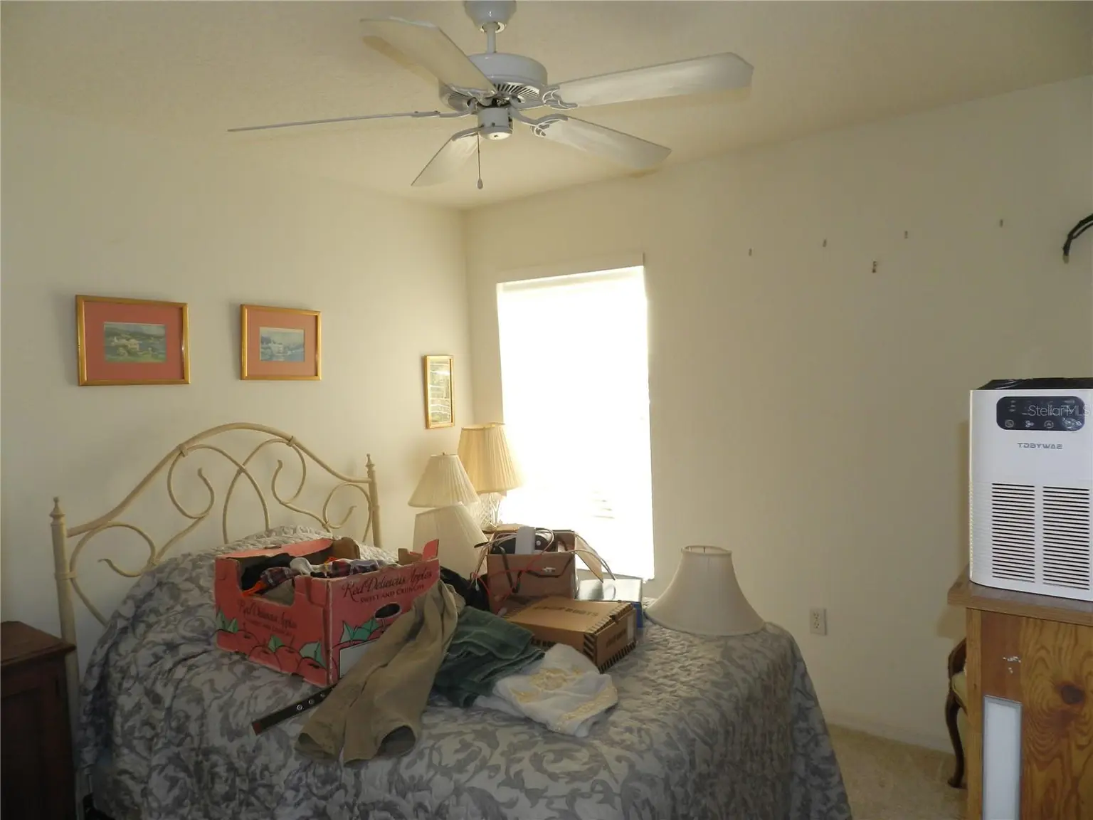 1040 FOX HOLLOW RUN, DUNEDIN, FL, photo 33 of 34