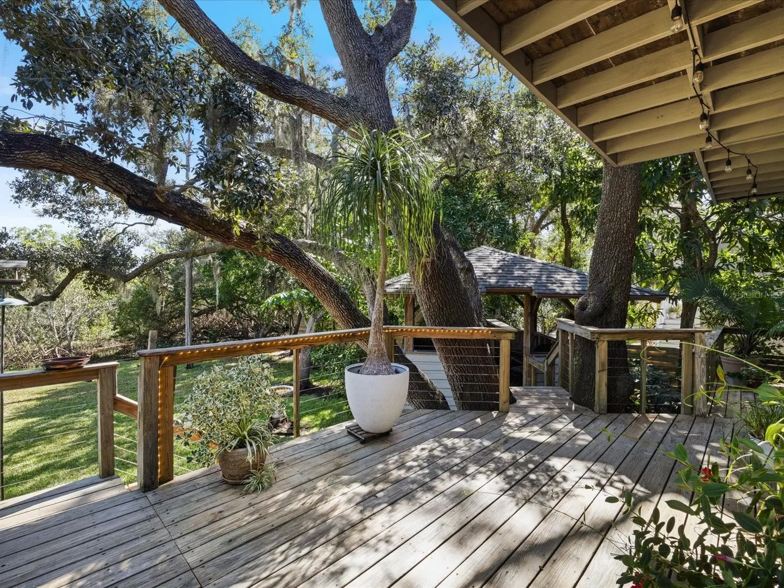 3328 BRIARWOOD CIRCLE, SAFETY HARBOR, FL, photo 46 of 61