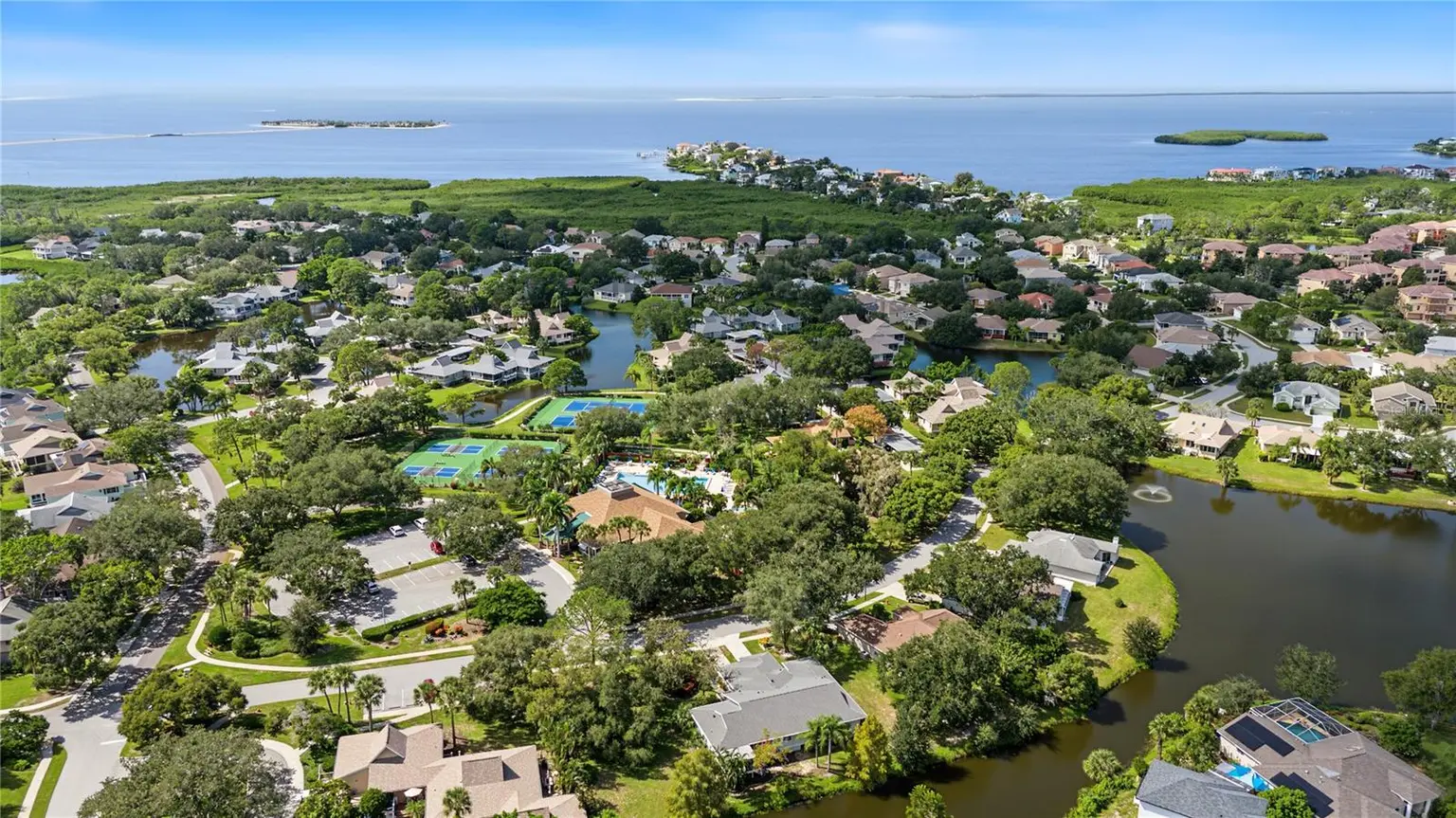 1206 S POINTE ALEXIS DRIVE, TARPON SPRINGS, FL, photo 36 of 59