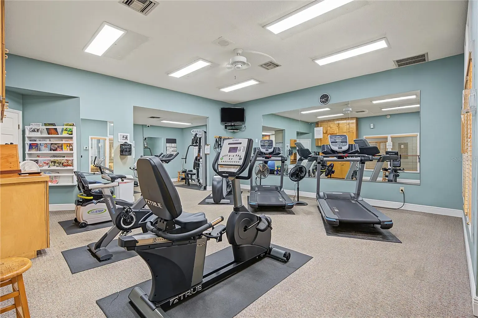 1206 S POINTE ALEXIS DRIVE, TARPON SPRINGS, FL, photo 43 of 59