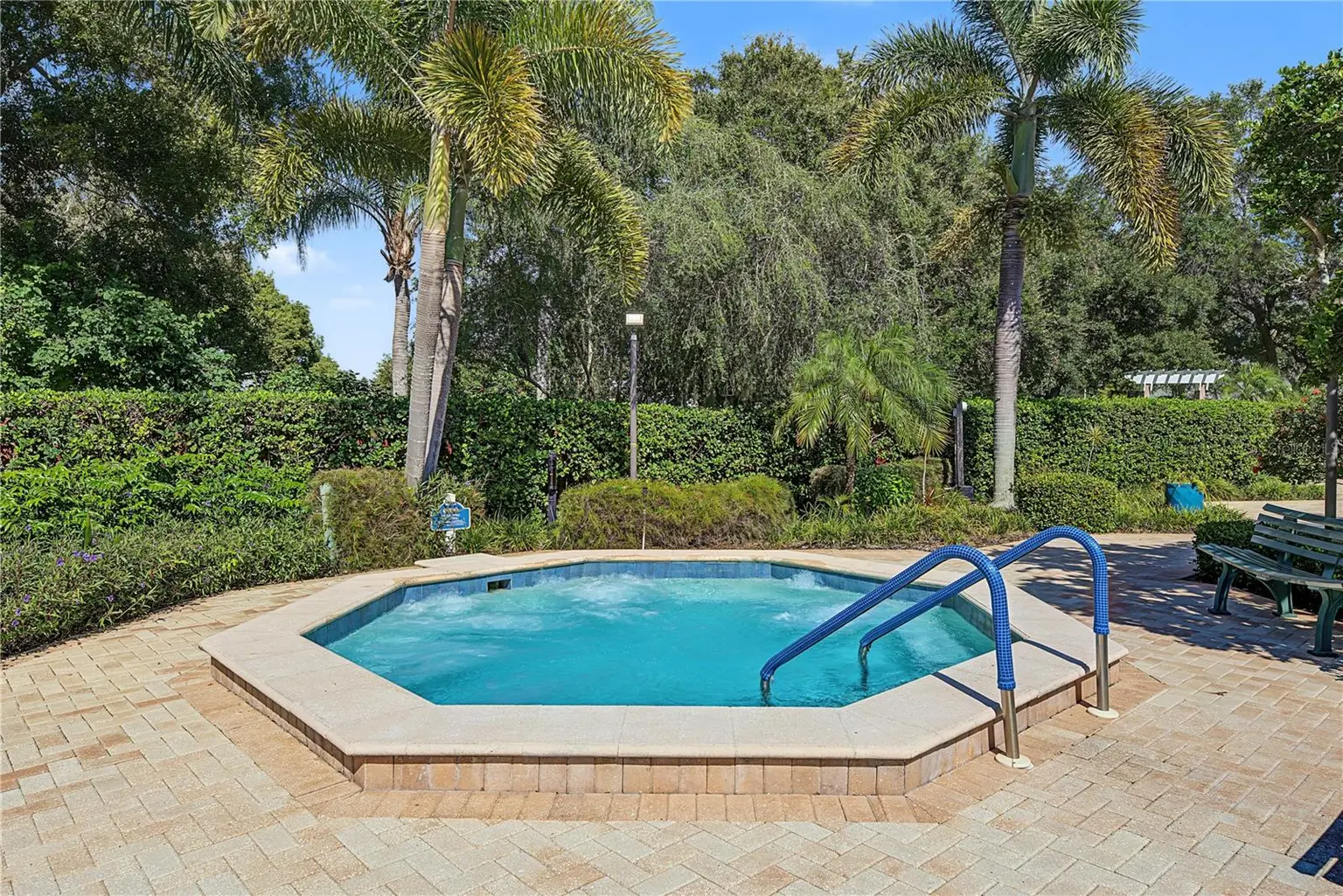 1206 S POINTE ALEXIS DRIVE, TARPON SPRINGS, FL, photo 49 of 59