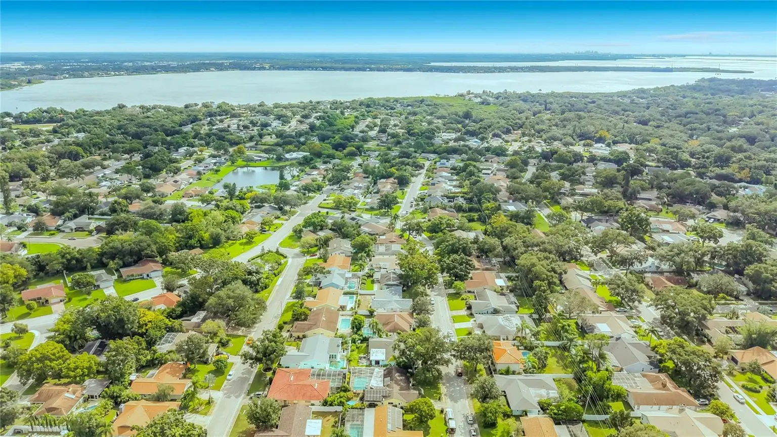 3120 SWAN LANE, SAFETY HARBOR, FL, photo 48 of 50