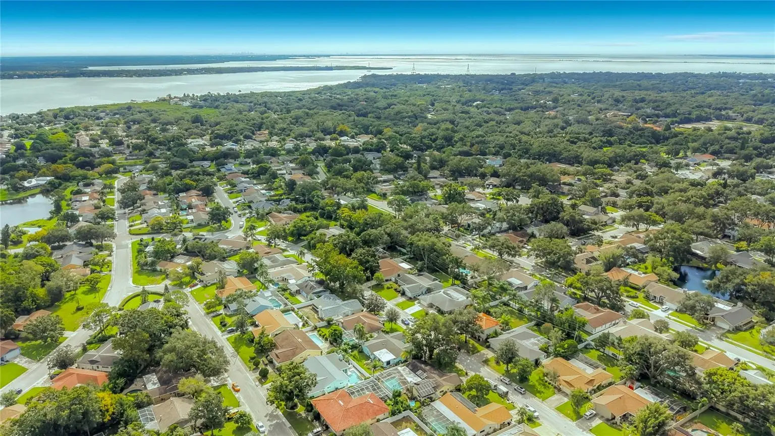 3120 SWAN LANE, SAFETY HARBOR, FL, photo 49 of 50
