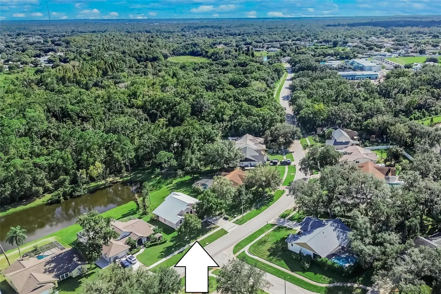 10120 SEDGEBROOK DRIVE, RIVERVIEW, FL, photo 3 of 45