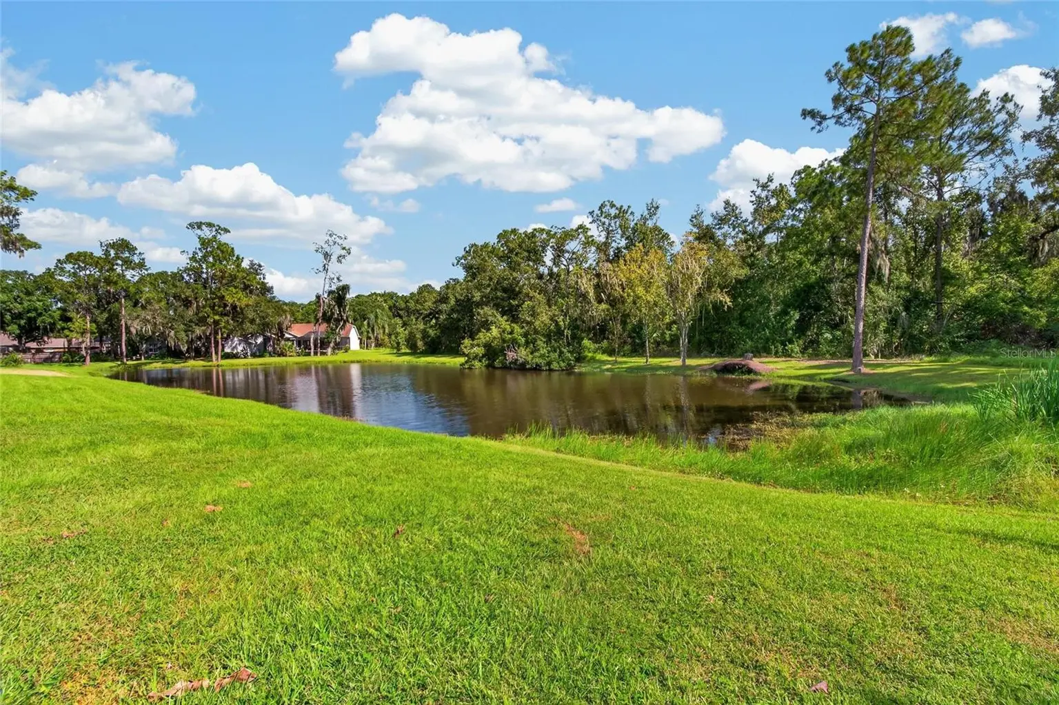 10120 SEDGEBROOK DRIVE, RIVERVIEW, FL, photo 10 of 45