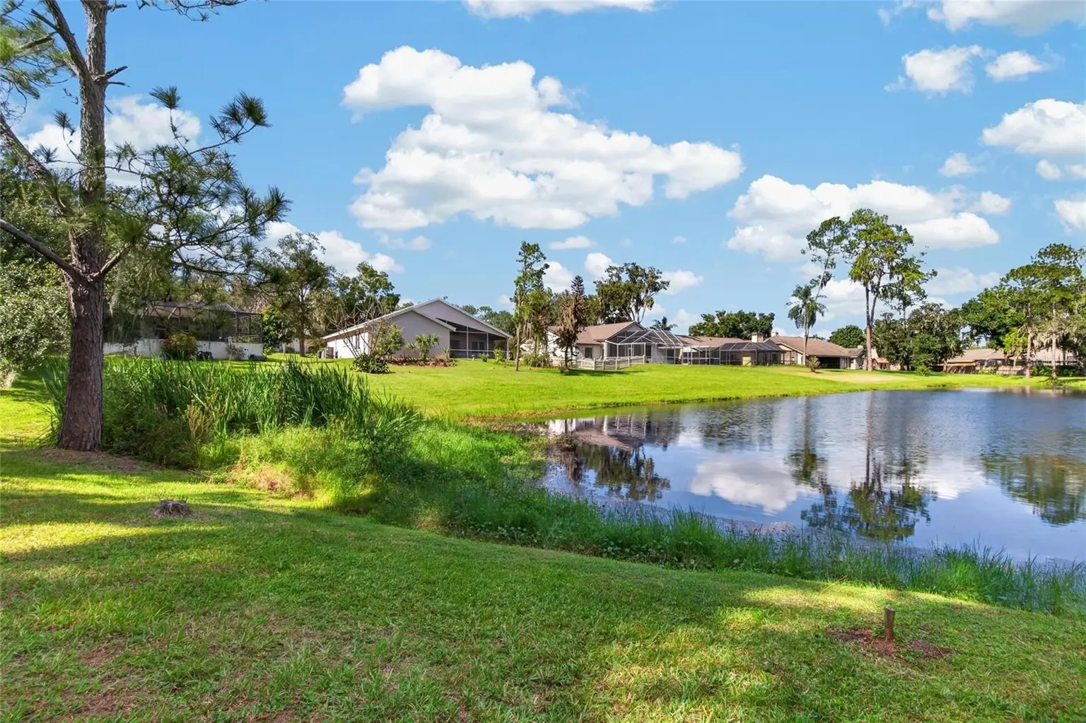 10120 SEDGEBROOK DRIVE, RIVERVIEW, FL, photo 11 of 45