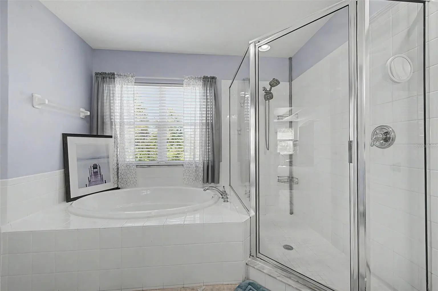 19266 FISHERMANS BEND DRIVE, LUTZ, FL, photo 28 of 63