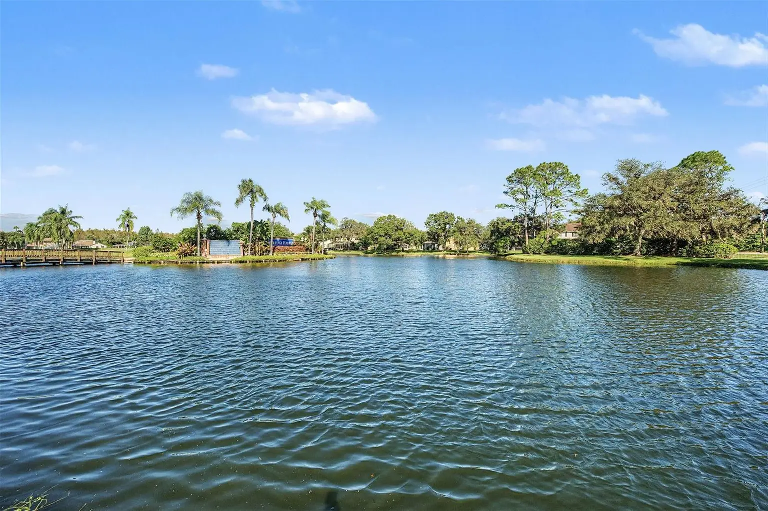 19266 FISHERMANS BEND DRIVE, LUTZ, FL, photo 60 of 63
