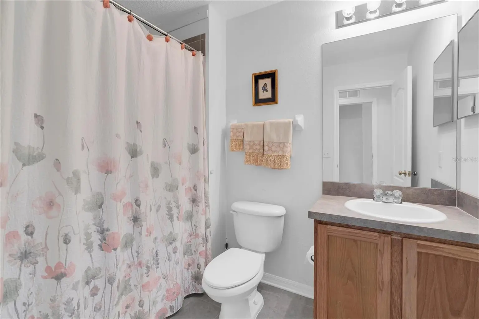 10608 SHADY FALLS COURT, RIVERVIEW, FL, photo 27 of 38