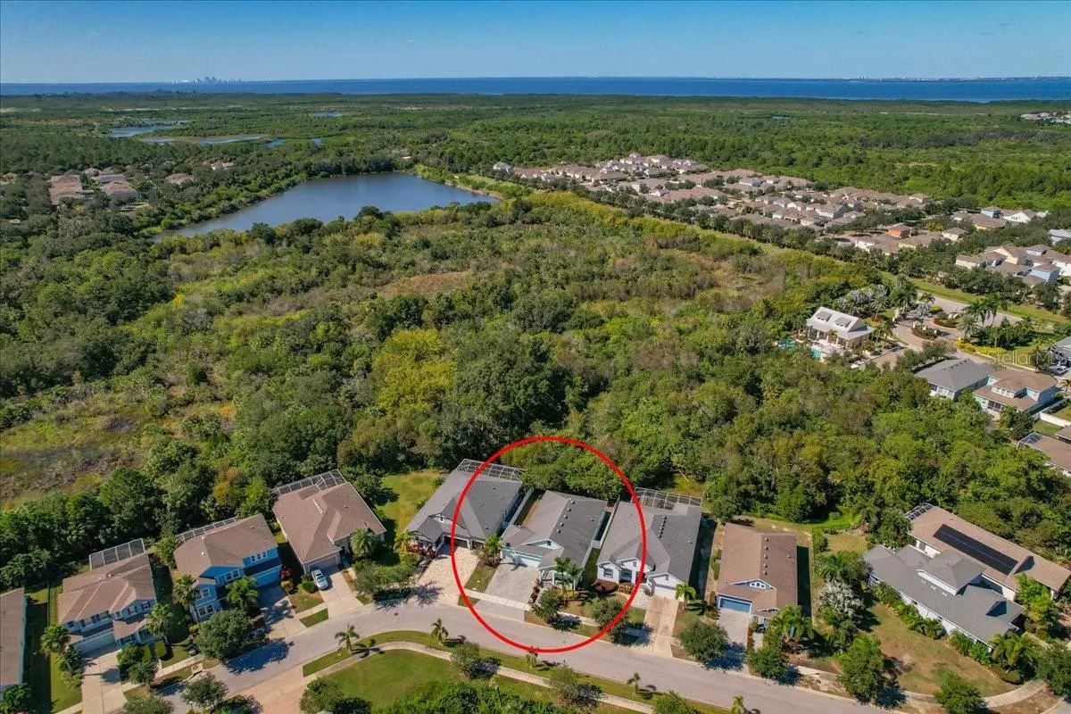 5118 COASTAL SCENE DRIVE, APOLLO BEACH, FL, photo 59 of 87