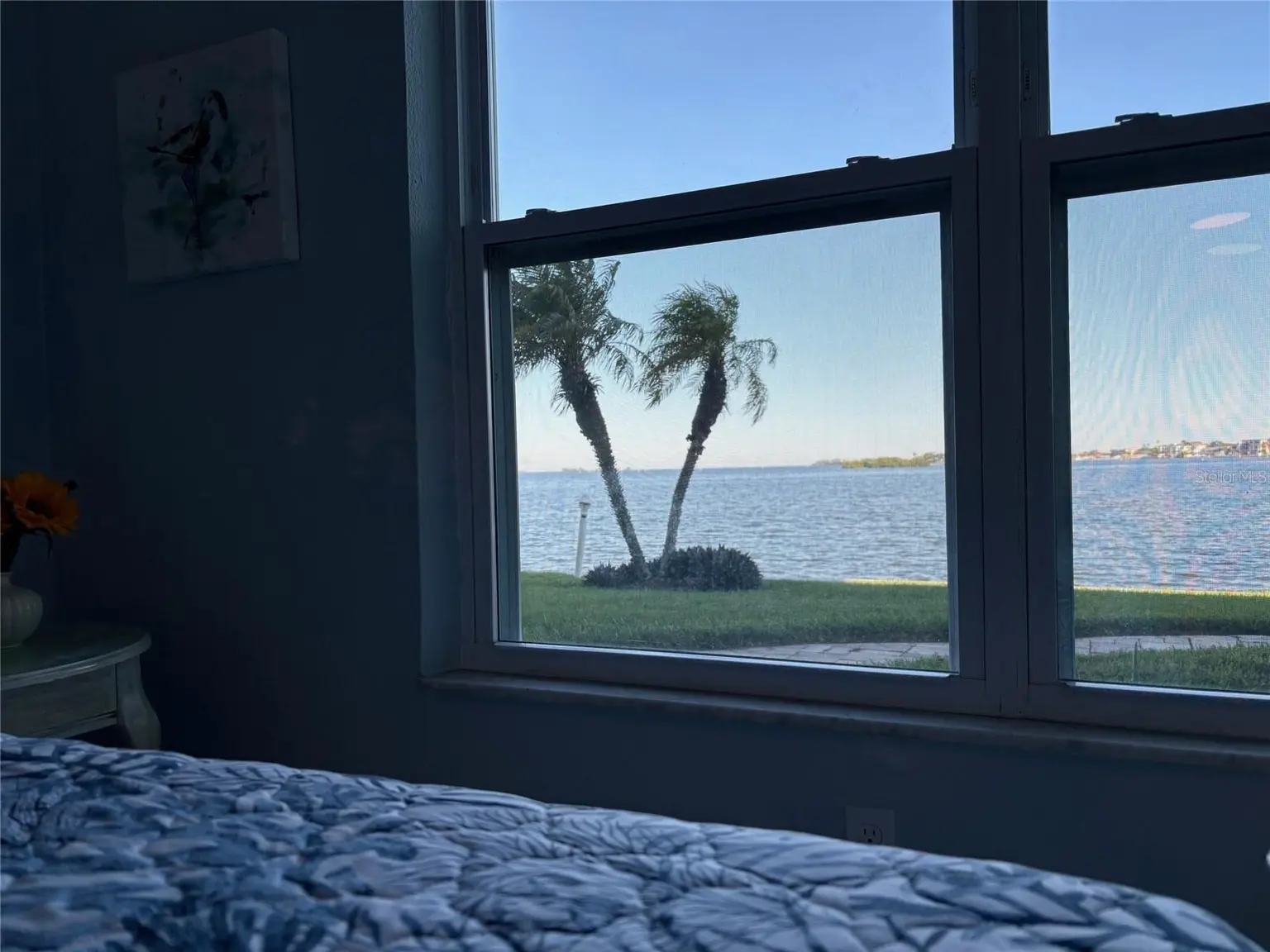 464 PAULA DRIVE N #116, DUNEDIN, FL, photo 27 of 45