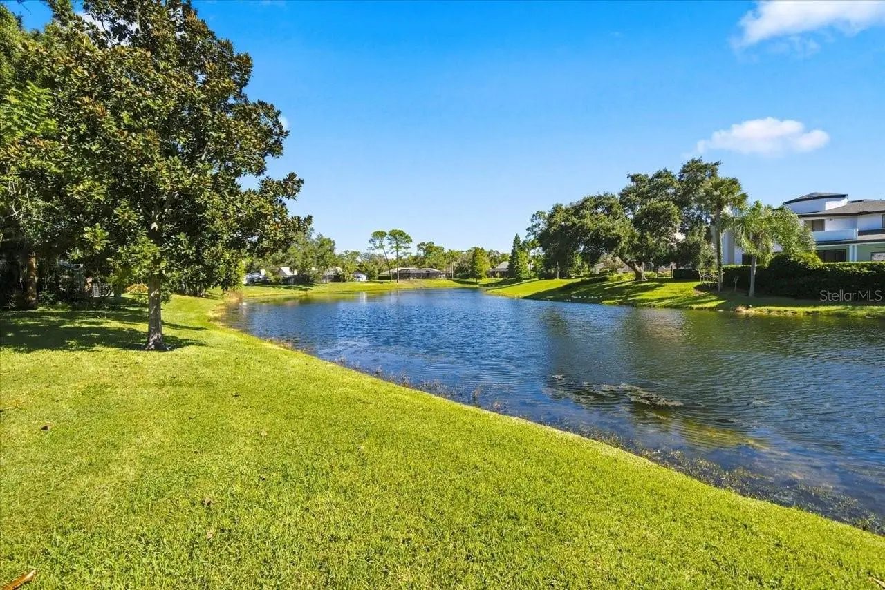 4110 CARROLLWOOD VILLAGE DRIVE, TAMPA, FL, photo 4 of 54