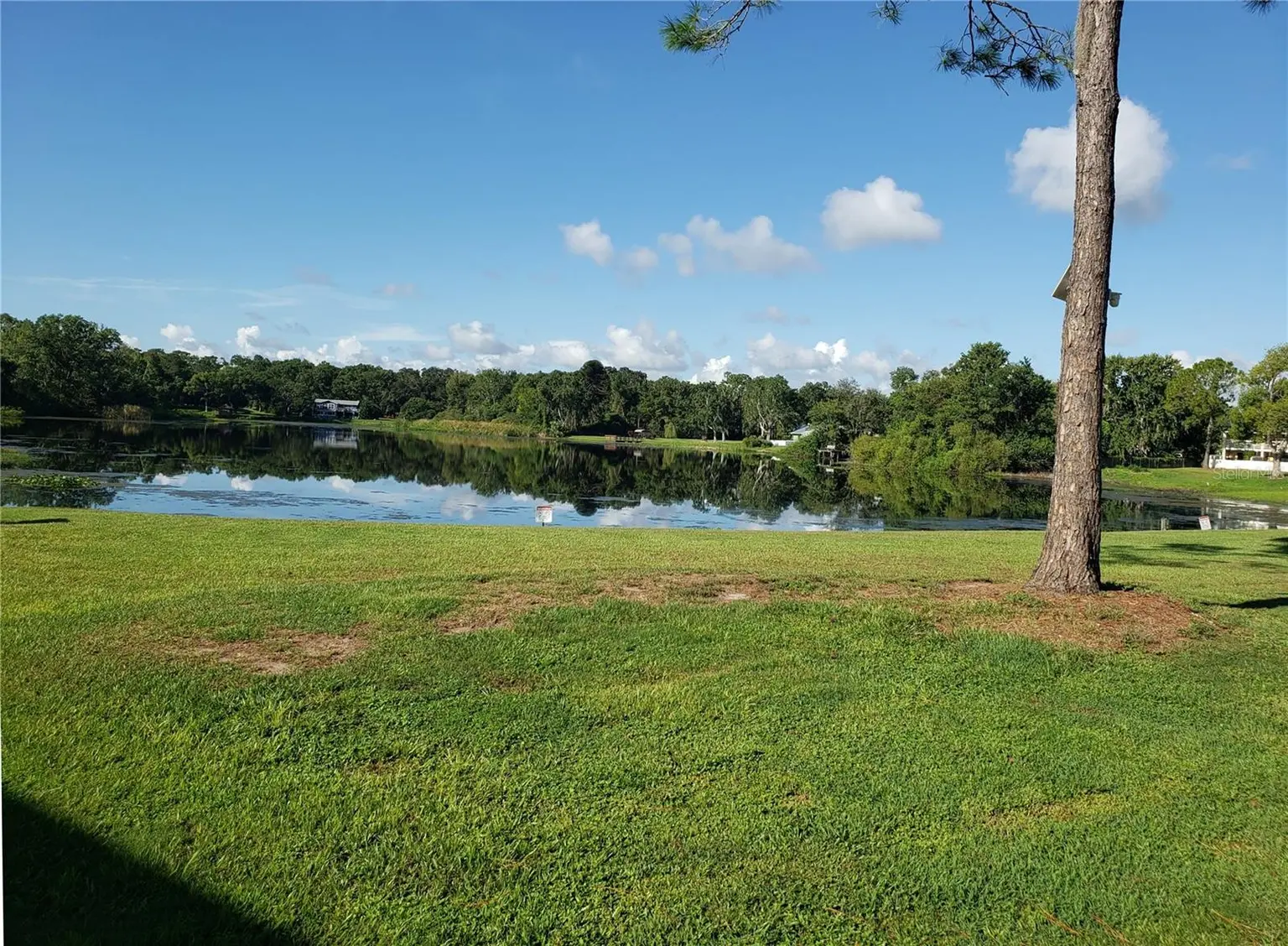 22620 GAGE LOOP #22, LAND O LAKES, FL, photo 19 of 22