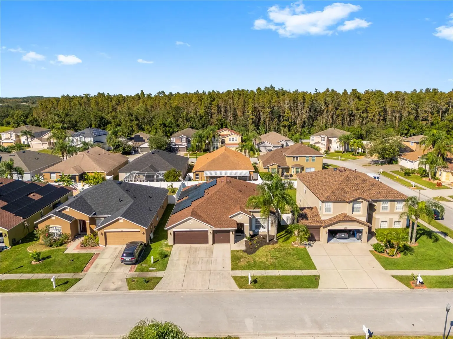 10416 MEADOW SPRING DRIVE, TAMPA, FL, photo 58 of 61