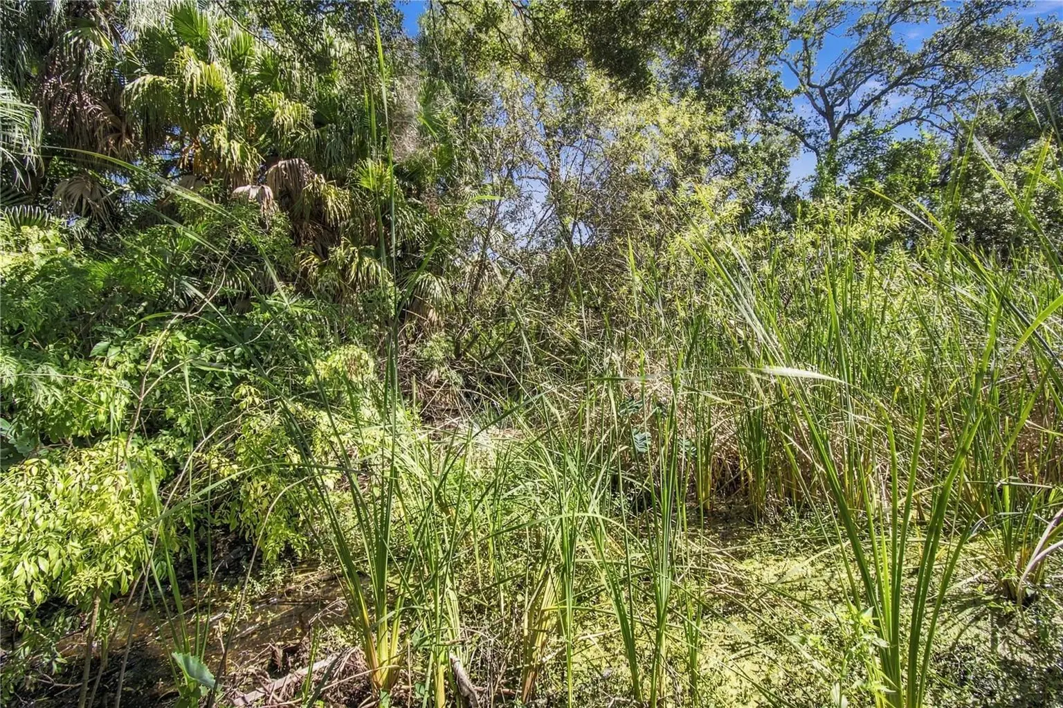 12805 98TH STREET, LARGO, FL, photo 75 of 100