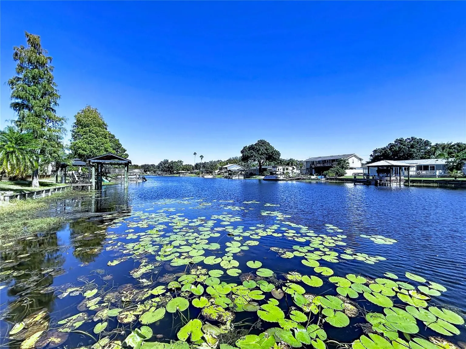 3202 PINE SHADOW DRIVE, LAND O LAKES, FL, photo 4 of 57