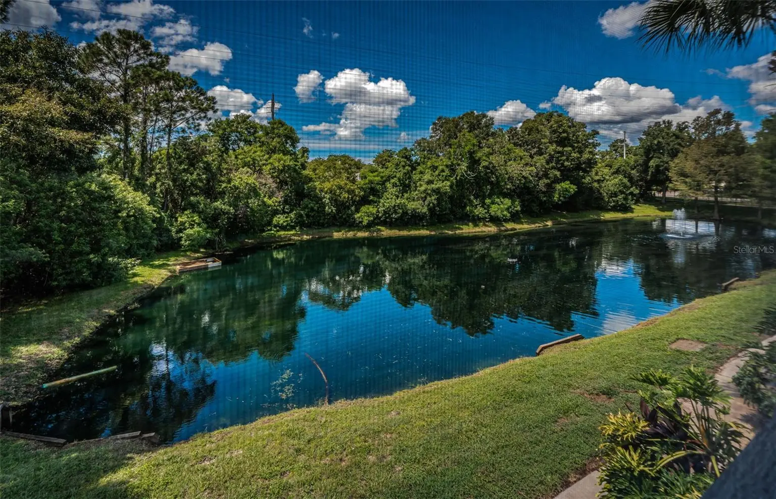 2138 CHIANTI PLACE #142, PALM HARBOR, FL, photo 5 of 49