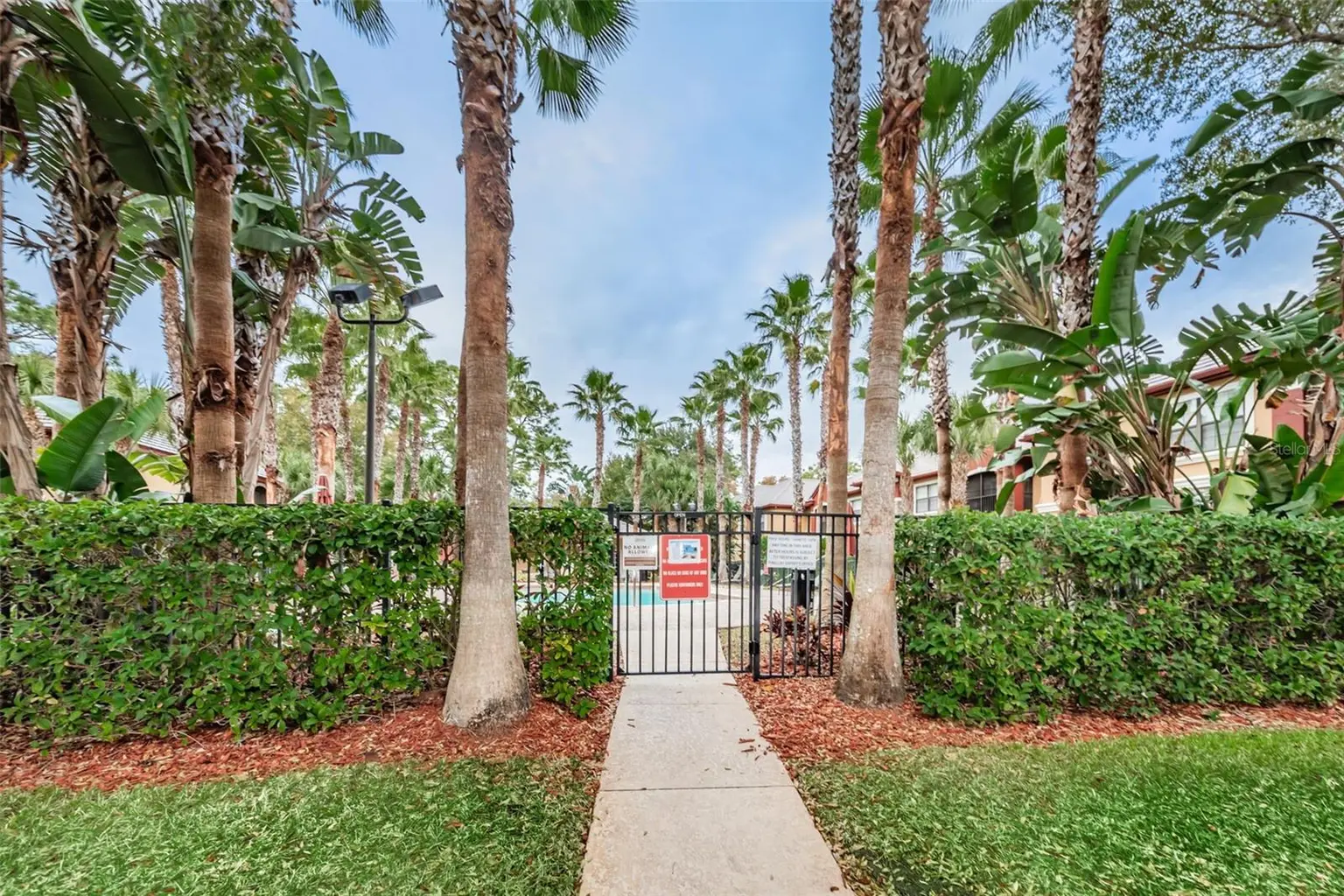2138 CHIANTI PLACE #142, PALM HARBOR, FL, photo 43 of 49