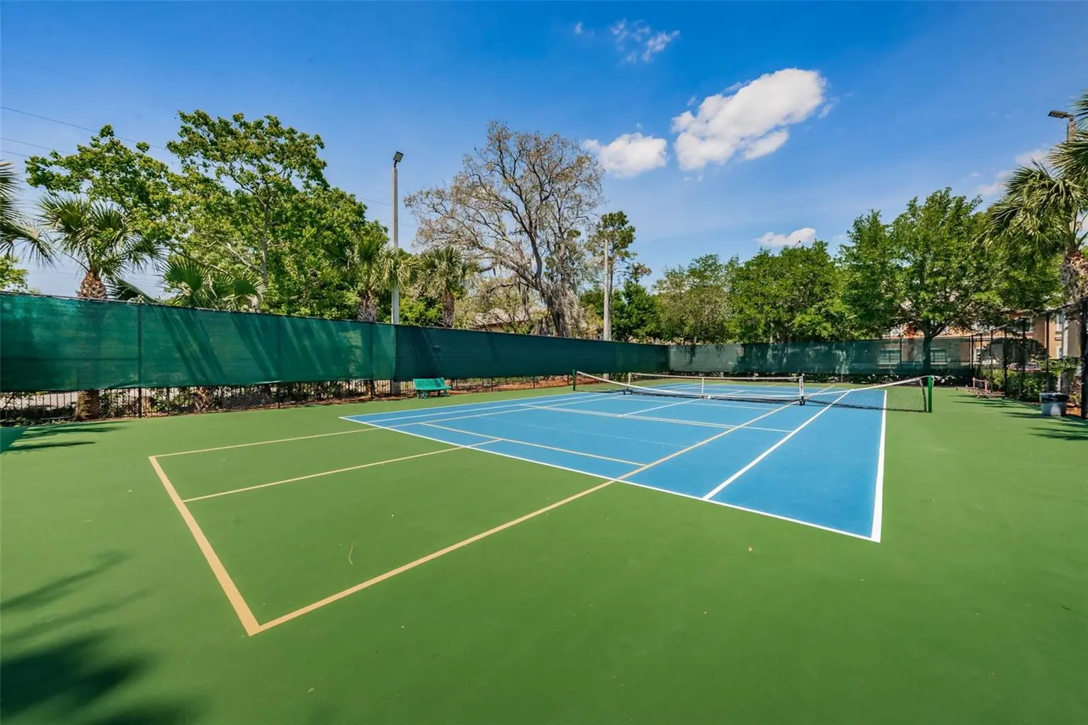 2138 CHIANTI PLACE #142, PALM HARBOR, FL, photo 49 of 49