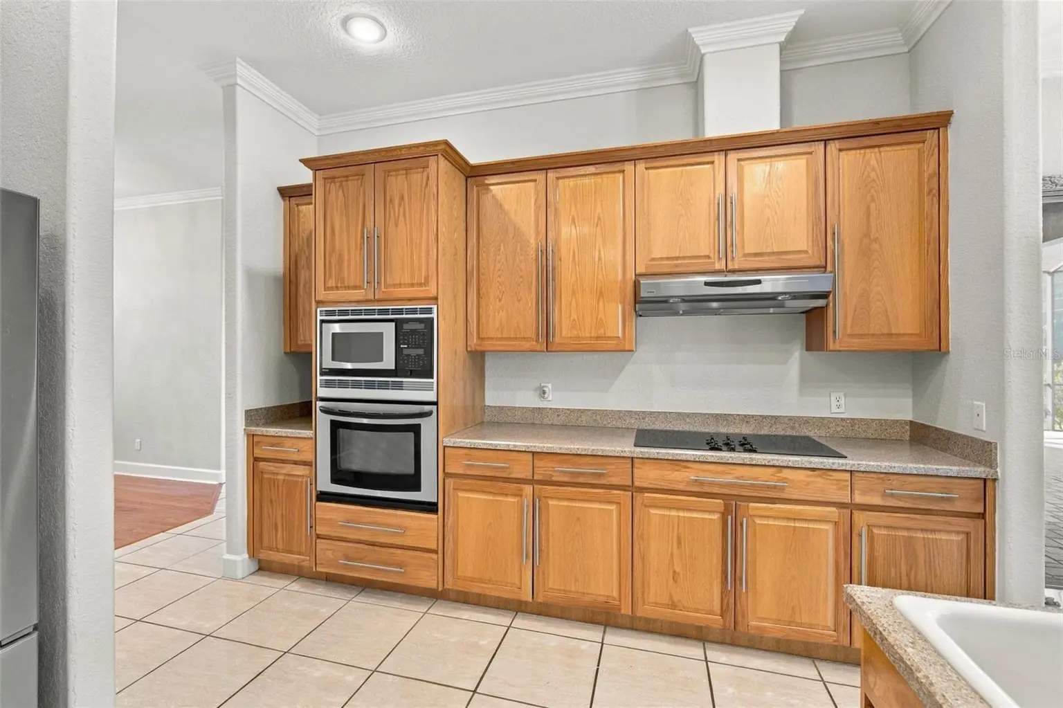 3916 VALRICO GROVE DRIVE, VALRICO, FL, photo 12 of 51