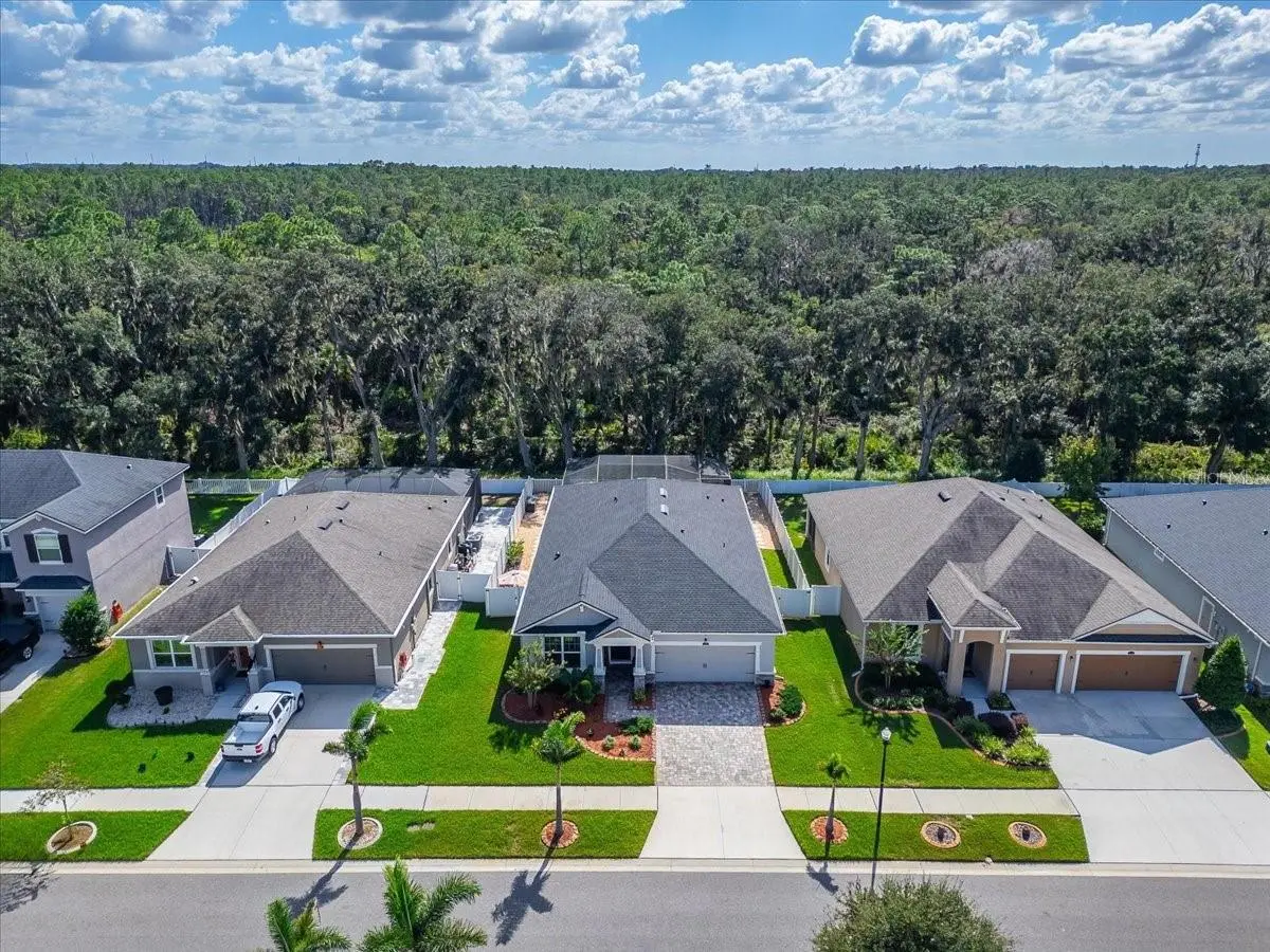 12961 SATIN LILY DRIVE, RIVERVIEW, FL, photo 35 of 58