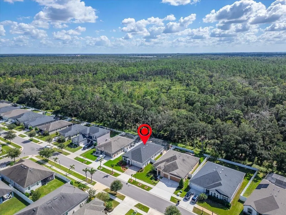 12961 SATIN LILY DRIVE, RIVERVIEW, FL, photo 36 of 58